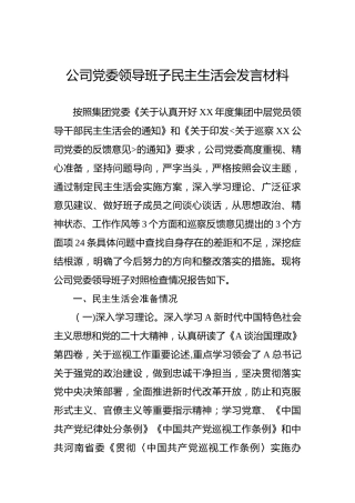 2022年公司党委领导班子民主生活会发言材料
