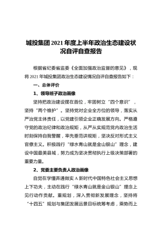 城投集团2021年度上半年政治生态建设状况自评自查报告