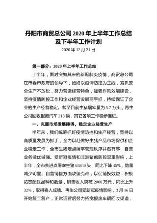 丹阳市商贸总公司2020年上半年工作总结及下半年工作计划