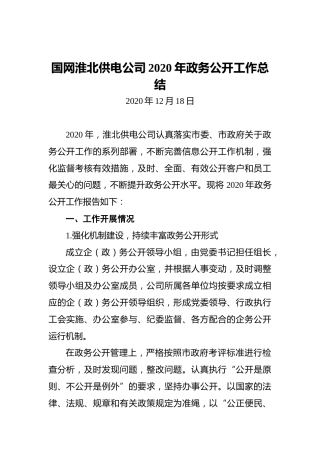 国网淮北供电公司2020年政务公开工作总结