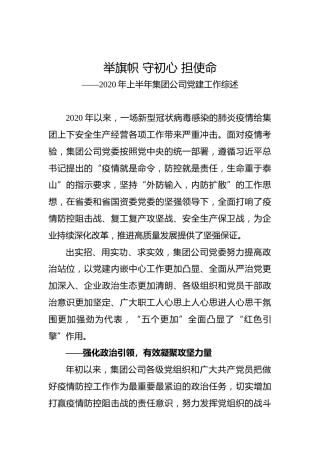 举旗帜 守初心 担使命——2020年上半年集团公司党建工作综述