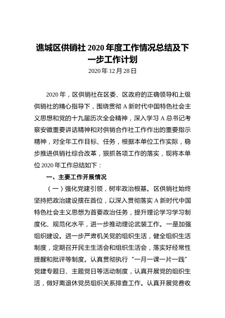 谯城区供销社2020年度工作情况总结及下一步工作计划