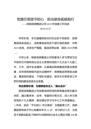 党旗引领坚守初心　担当使命砥砺前行——陕钢龙钢集团公司2019年党建工作综述