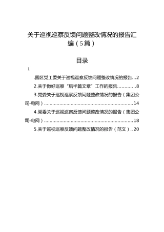 关于巡视巡察反馈问题整改情况的报告汇编（5篇）