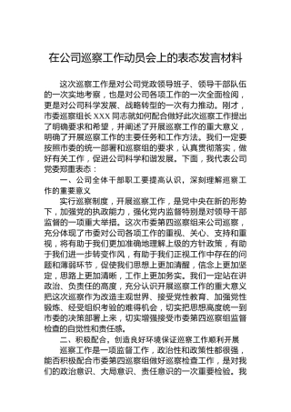 在公司巡察工作动员会上的表态发言材料
