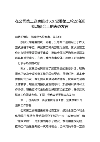 在公司第二巡察组对XX党委第二轮政治巡察动员会上的表态发言