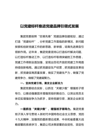 国企党建经验交流材料：以党建标杆推进党建品牌引领式发展