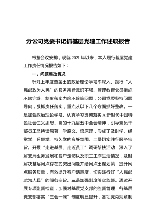 分公司党委书记抓基层党建工作述职报告