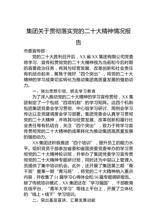 集团关于贯彻落实党的二十大精神情况报告