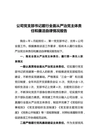 公司党支部书记履行全面从严治党主体责任和廉洁自律情况报告