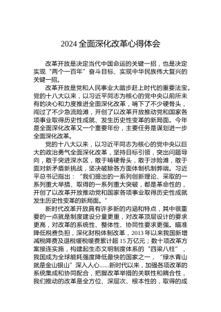 2024全面深化改革心得体会