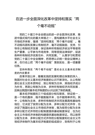 在进一步全面深化改革中坚持和落实“两个毫不动摇”