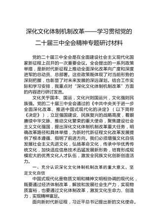 深化文化体制机制改革——学习贯彻党的二十届三中全会精神专题研讨材料