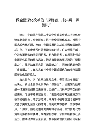做全面深化改革的“探路者、排头兵、弄潮儿”