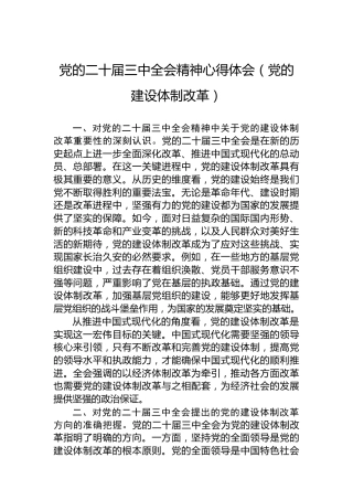 党的二十届三中全会精神心得体会（党的建设体制改革）