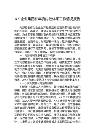 XX企业集团在年度内控体系工作情况报告XX企业集团在年度内控体系工作情况报告