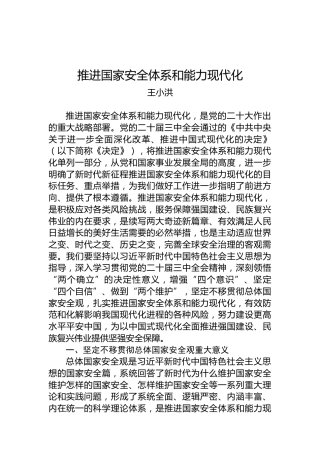 公安部部长王小洪：推进国家安全体系和能力现代化