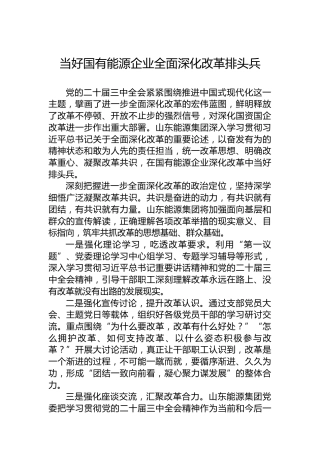 当好国有能源企业全面深化改革排头兵