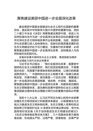 聚焦建设美丽中国进一步全面深化改革