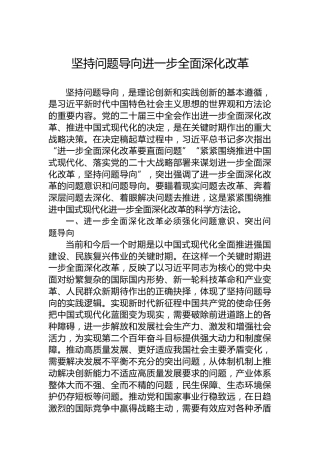 坚持问题导向进一步全面深化改革