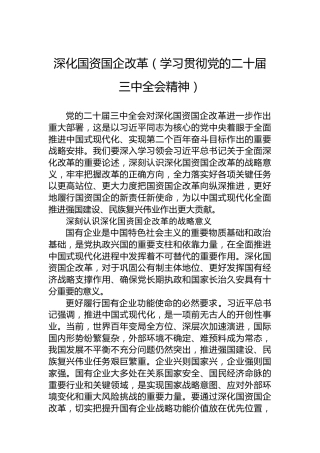 深化国资国企改革（学习贯彻党的二十届三中全会精神）
