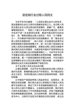 坚定践行全过程人民民主