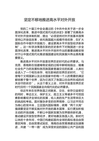 坚定不移地推进高水平对外开放