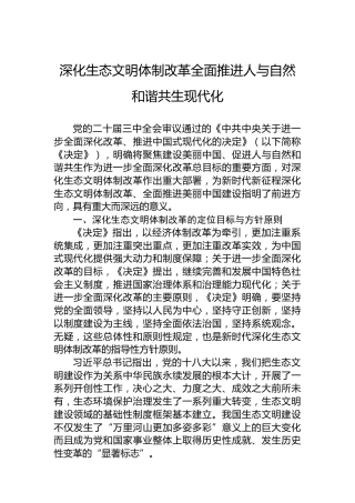 深化生态文明体制改革全面推进人与自然和谐共生现代化