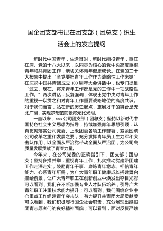 国企团支部书记在团支部（团总支）织生活会上的发言提纲