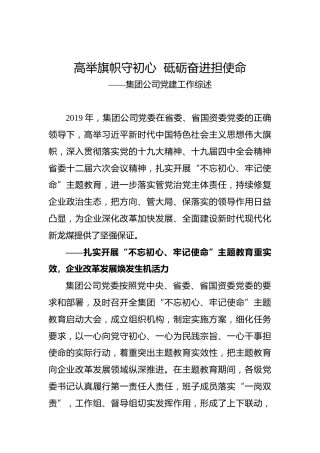 高举旗帜守初心  砥砺奋进担使命——集团公司党建工作综述