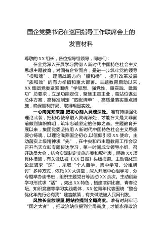 国企党委书记在巡回指导工作联席会上的发言材料