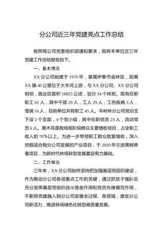 分公司近三年党建亮点工作总结