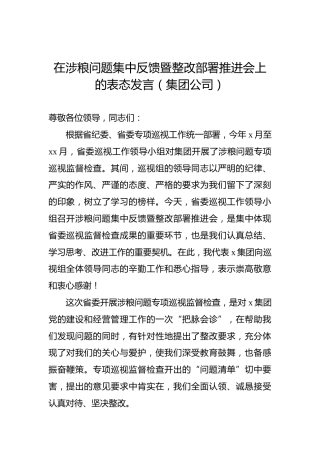 在涉粮问题集中反馈暨整改部署推进会上的表态发言（集团公司）