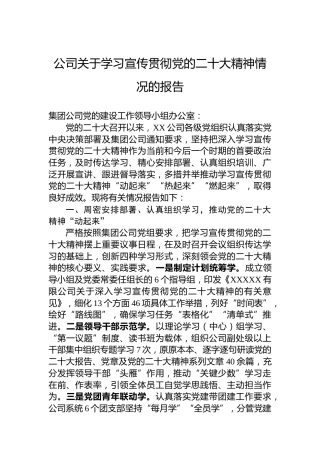 公司关于学习宣传贯彻党的二十大精神情况的报告
