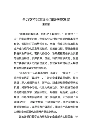 王晓东：全力支持涉农企业加快恢复发展