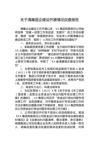 关于清廉国企建设开展情况自查报告