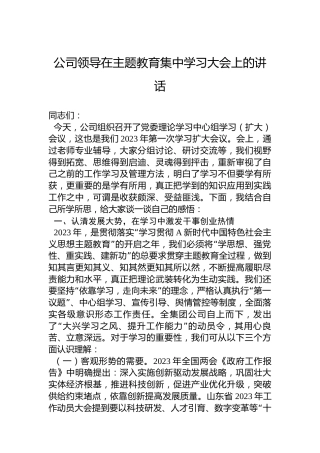 公司领导在主题教育集中学习大会上的讲话