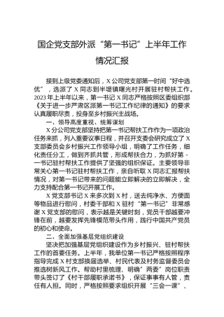 国企党支部外派“第一书记”上半年工作情况汇报