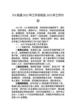 XX街道2022年工作总结及2023年工作计划（20221128）