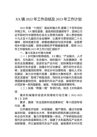 XX镇2022年工作总结及2023年工作计划（20221126）