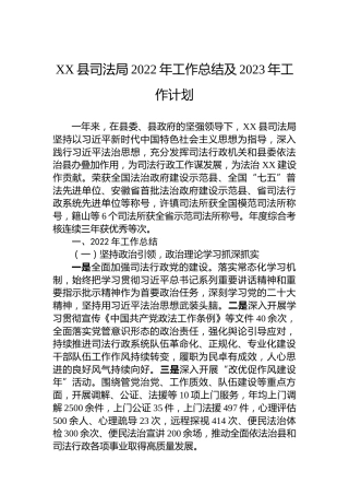 XX县司法局2022年工作总结及2023年工作计划（20221125）