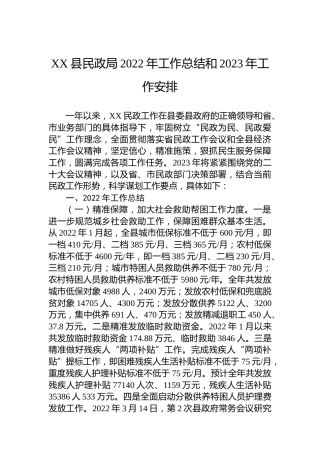 XX县民政局2022年工作总结和2023年工作安排(20221103)