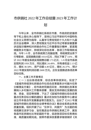 市供销社2022年工作总结暨2023年工作计划(20221102)