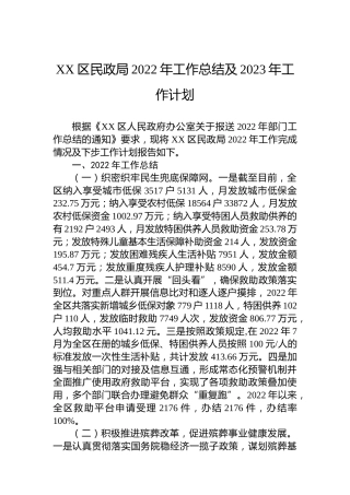 XX区民政局2022年工作总结及2023年工作计划(20221101)