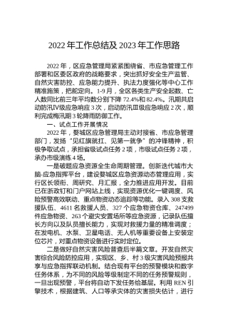 2022年工作总结及2023年工作思路(20221024)