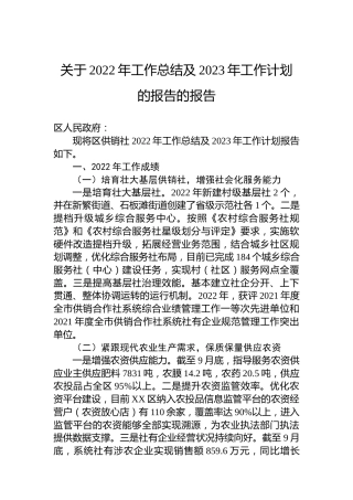 关于2022年工作总结及2023年工作计划 的报告的报告（20221018）