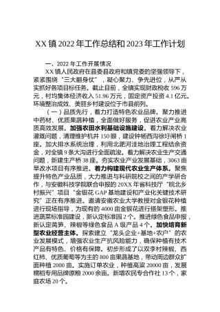 XX镇2022年工作总结和2023年工作计划（20221010）