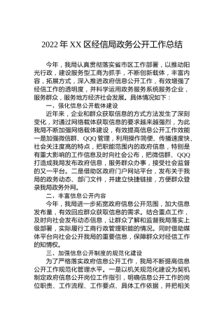 2022年XX区经信局政务公开工作总结（20221130）