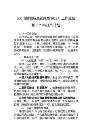 XX市数据资源管理局2022年工作总结（20221118）