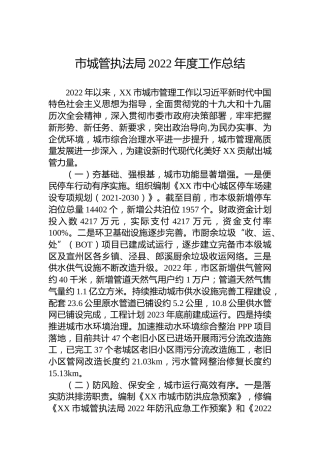 市城管执法局2022年度工作总结(20221103)